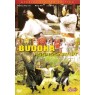 BUDDHA ASSASSINATOR (Убийца Будды)