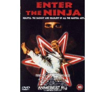 ENTER THE NINJA (Появляется ниндзя)