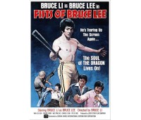FISTS OF BRUCE LEE (Кулаки Брюса Ли)