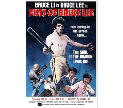 FISTS OF BRUCE LEE (Кулаки Брюса Ли)