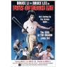 FISTS OF BRUCE LEE (Кулаки Брюса Ли)