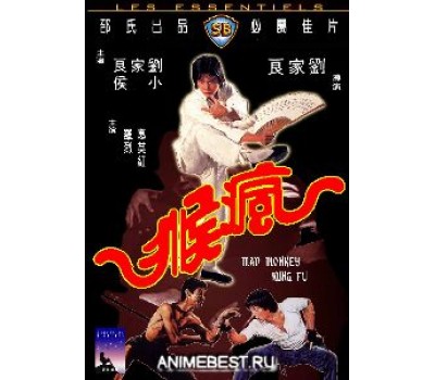 MAD MONKEY KUNG FU (Кунг Фу бешеной обезьяны) MAD MONKEY KUNG FU (Кунг Фу бешеной обезьяны)