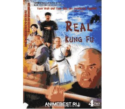 REAL KUNG FU (Настоящее Кунг Фу) REAL KUNG FU (Настоящее Кунг Фу)