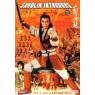 SHAOLIN INTRUDERS (Чужаки в храме Шаолинь)