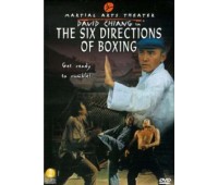 SIX DIRECTIONS OF BOXING (Шесть направлений ударов)