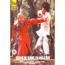 SHAOLIN KUNG FU MASTER (Мастер Кунг Фу Шаолиня)