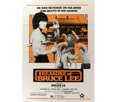 TREASURE OF BRUCE LE (Сокровища Брюса Ле)