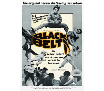 BLACK BELT (Черный пояс)