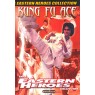 FIGHTING ACE (Ас боевых искусств)