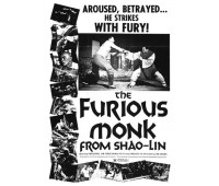 FURIOUS MONK FROM SHAOLIN (Бесстрашный монах из Шаолиня)