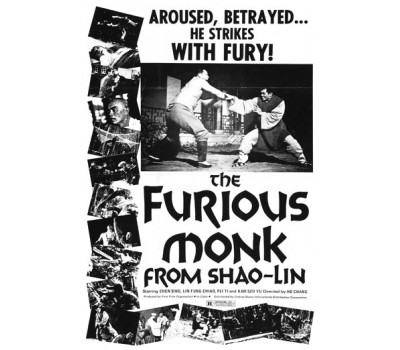 FURIOUS MONK FROM SHAOLIN (Бесстрашный монах из Шаолиня)