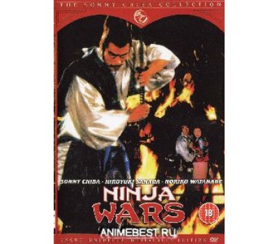 NINJA WARS (Войны ниндзя)