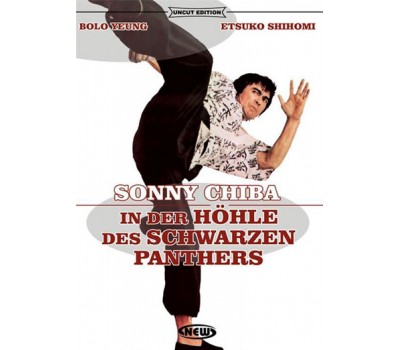 SOUL OF BRUCE LEE (Душа Брюса Ли)